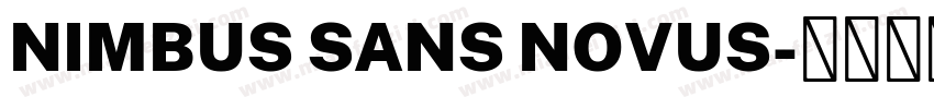 NIMBUS SANS NOVUS字体转换